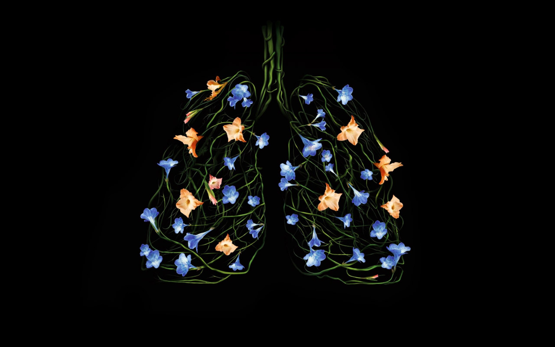 Premium,创意,宽屏,2012Y十一月03D,儿童桌面专用