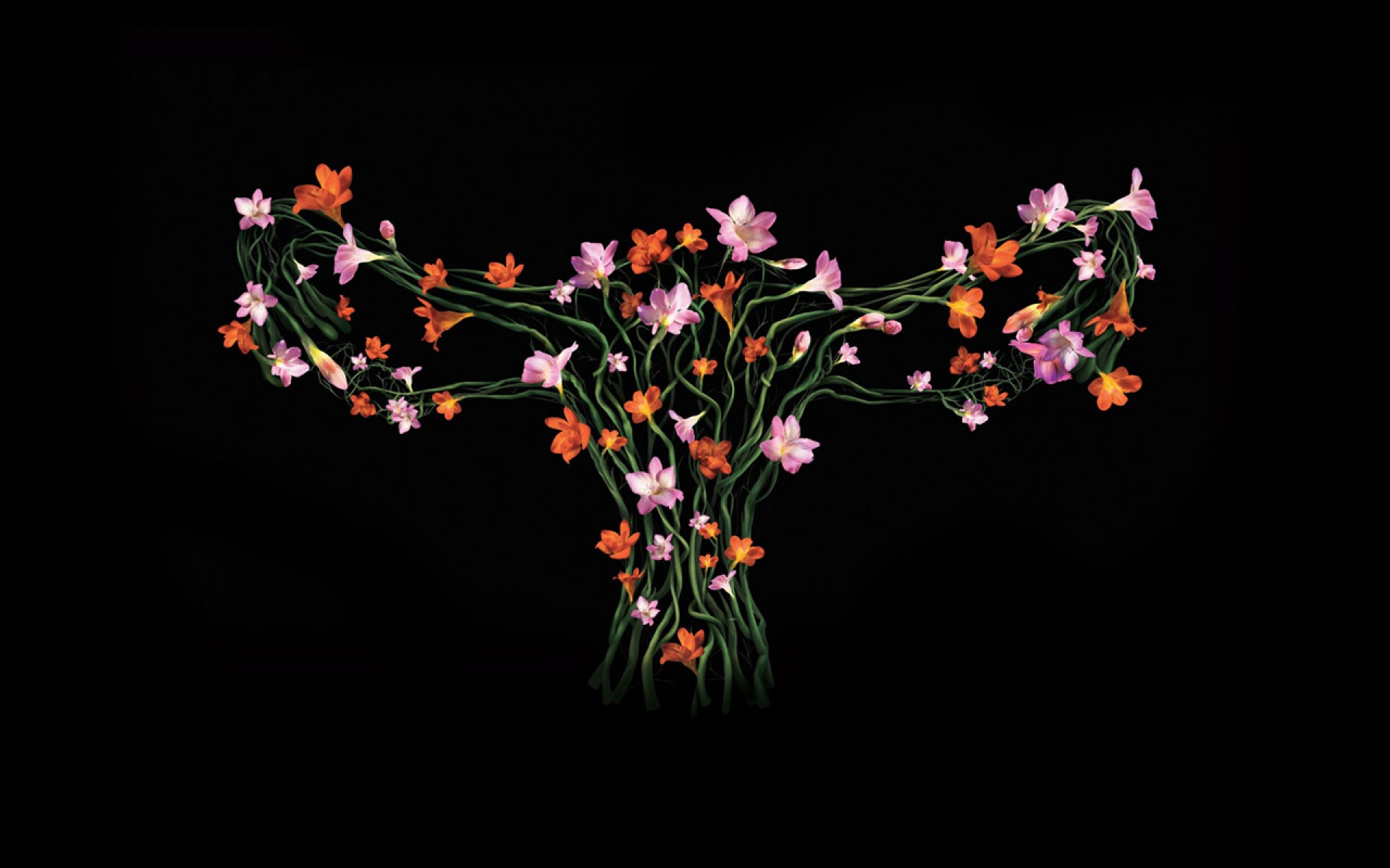 Premium,创意,宽屏,2012Y十一月03D,设计,儿童桌面专用