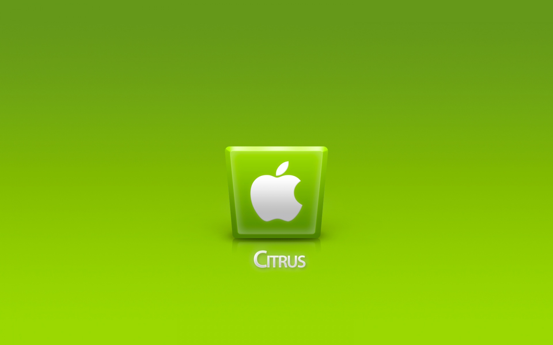 苹果,可爱,2012Y十一月04D,创意,儿童桌面专用