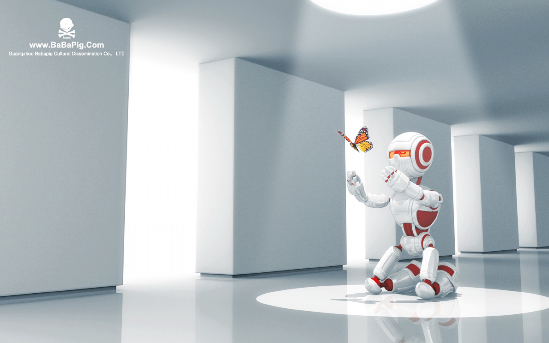 毕加猪,酷,设计,2012Y十一月03D,创意,儿童桌面专用