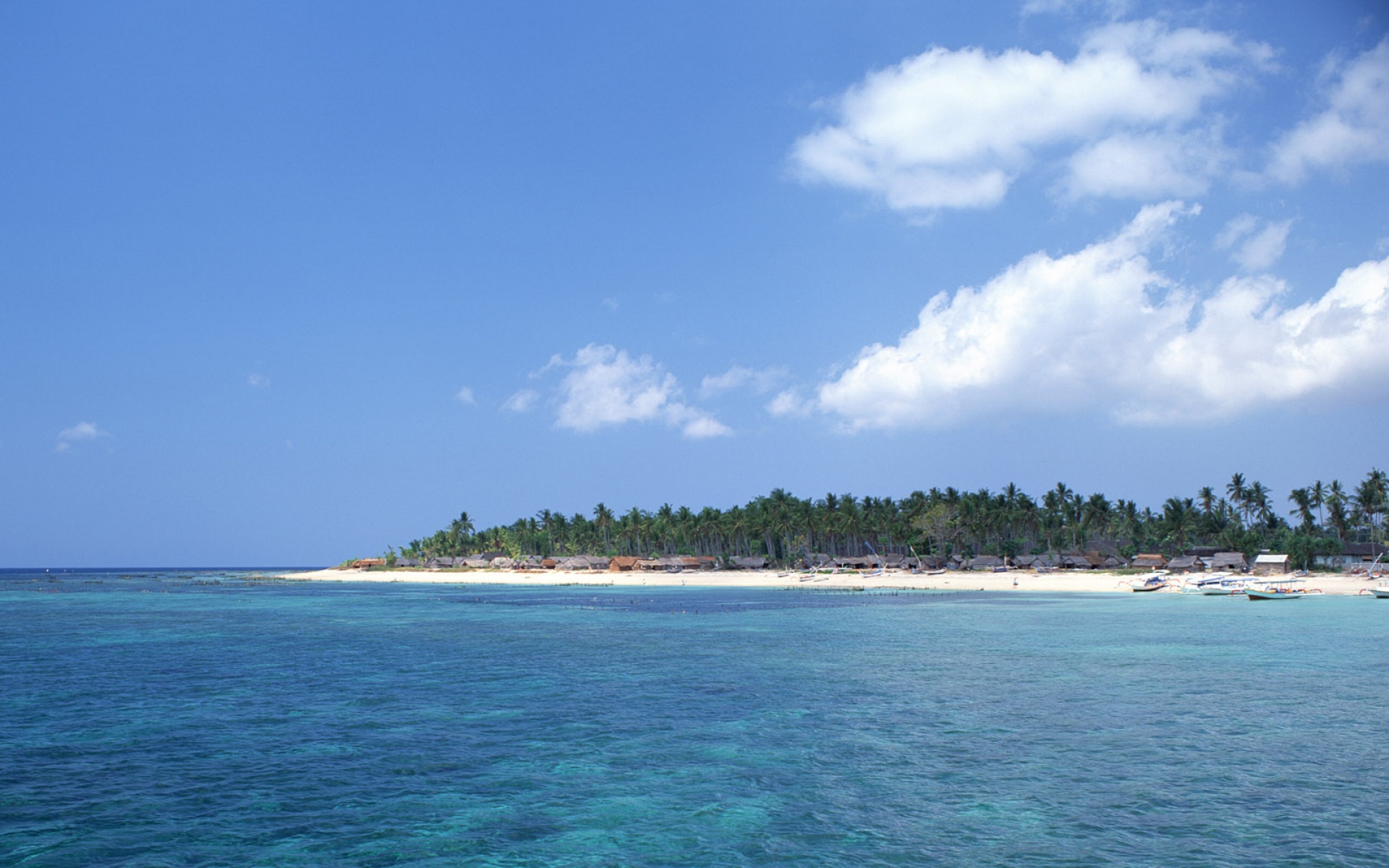 风景,海洋天堂,2012Y十一月11D,儿童桌面专用