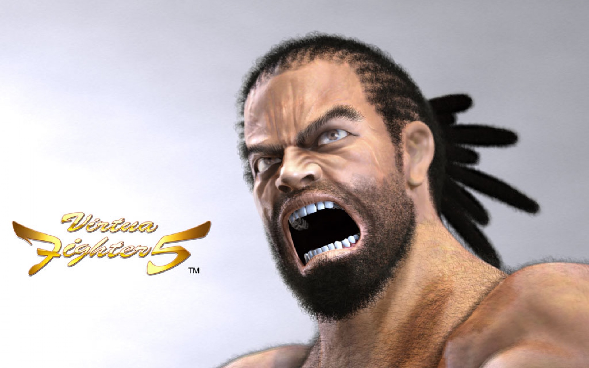 VR战士,游戏,2012Y十一月12D