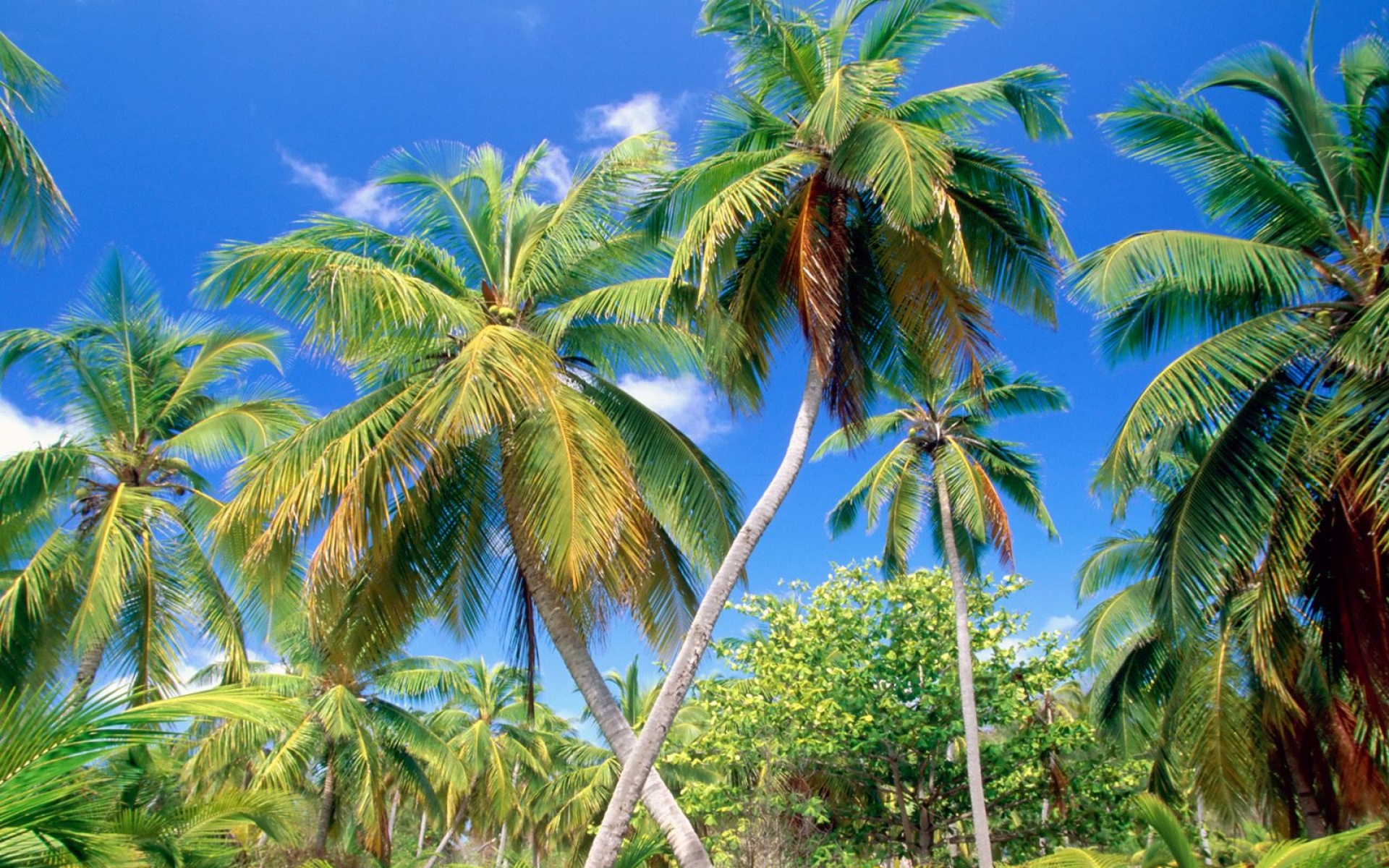 风景,海洋天堂,2012Y十一月04D,儿童桌面专用