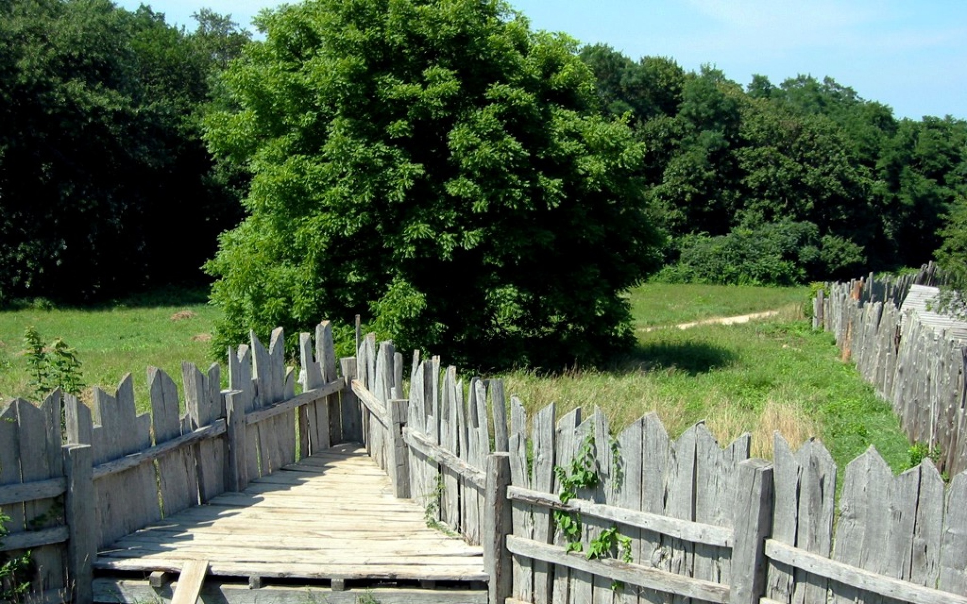 风景,自然风光,2012Y十一月11D,儿童桌面专用