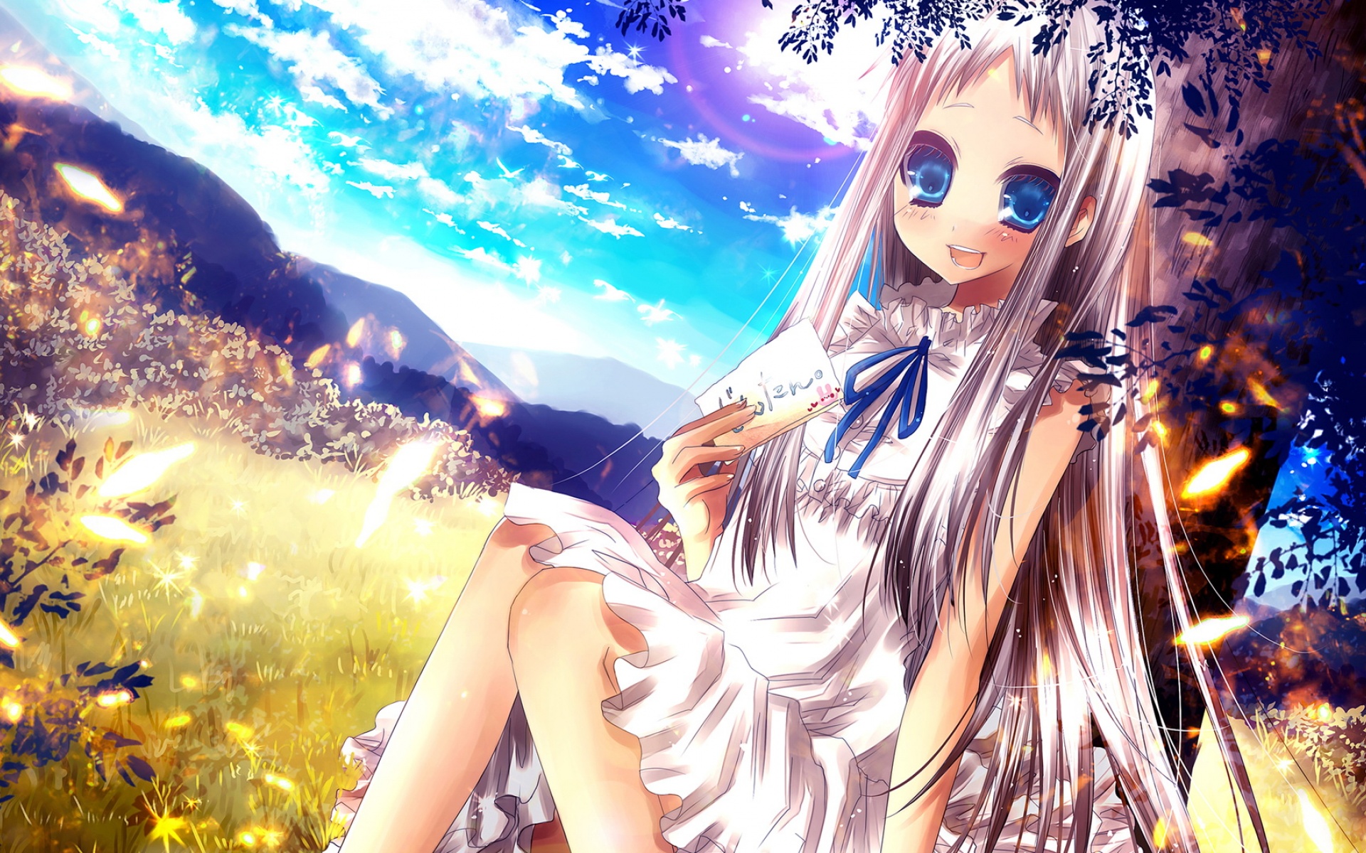 《未闻花名,我们仍未知道那天所看见的花的名字,动漫,宽屏,1080p,2012Y十月30D,儿童桌面专用