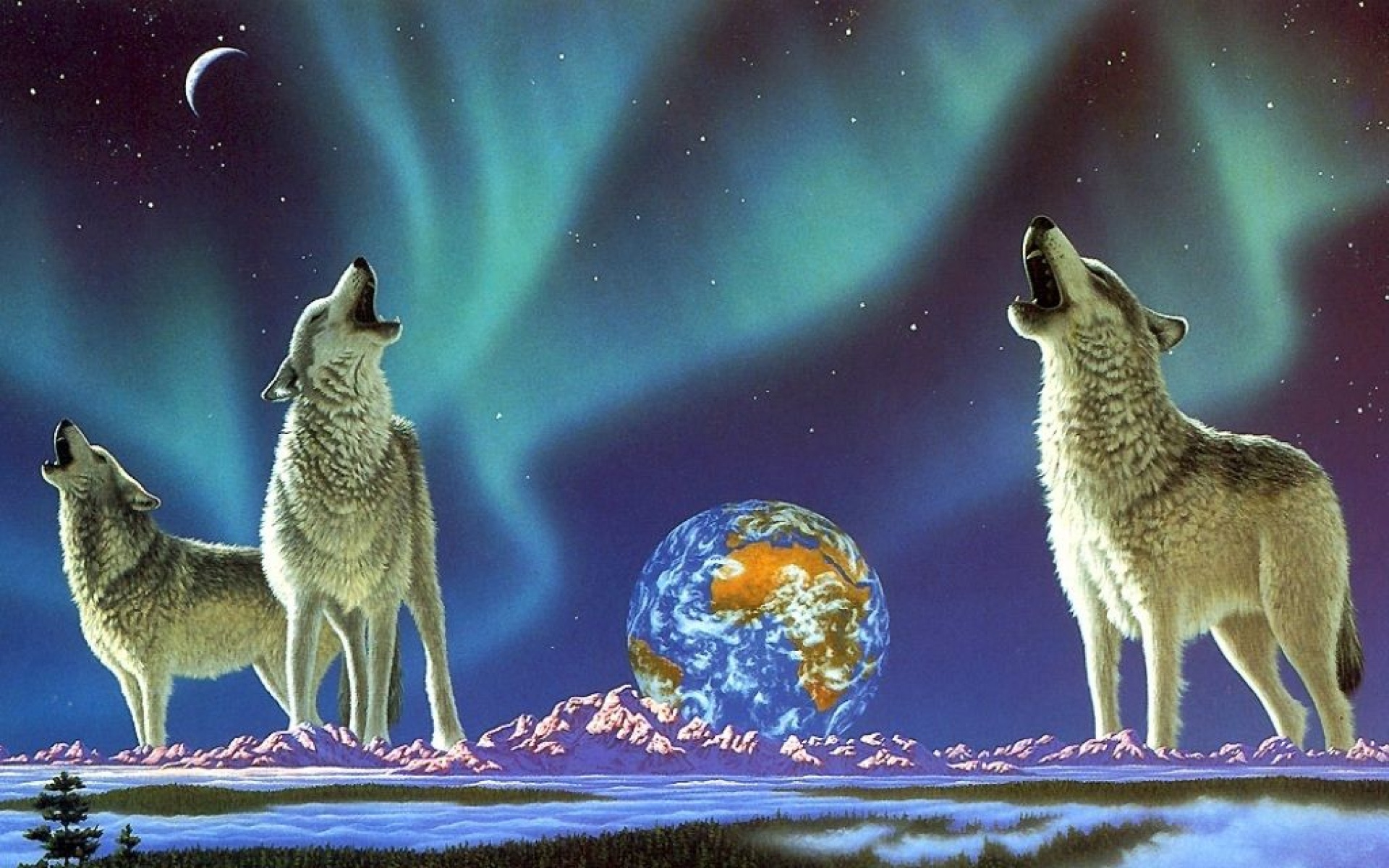 太空,动物,手绘,儿童桌面专用