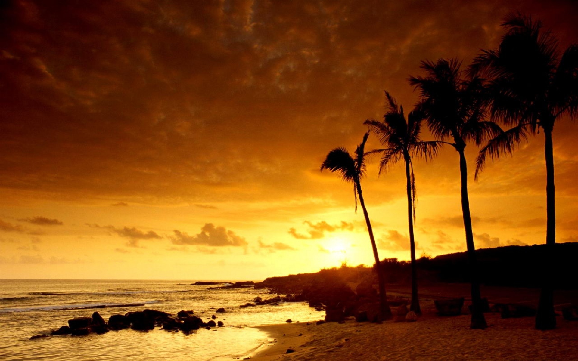 风景,城市夜景,2012Y十一月16D,儿童桌面专用