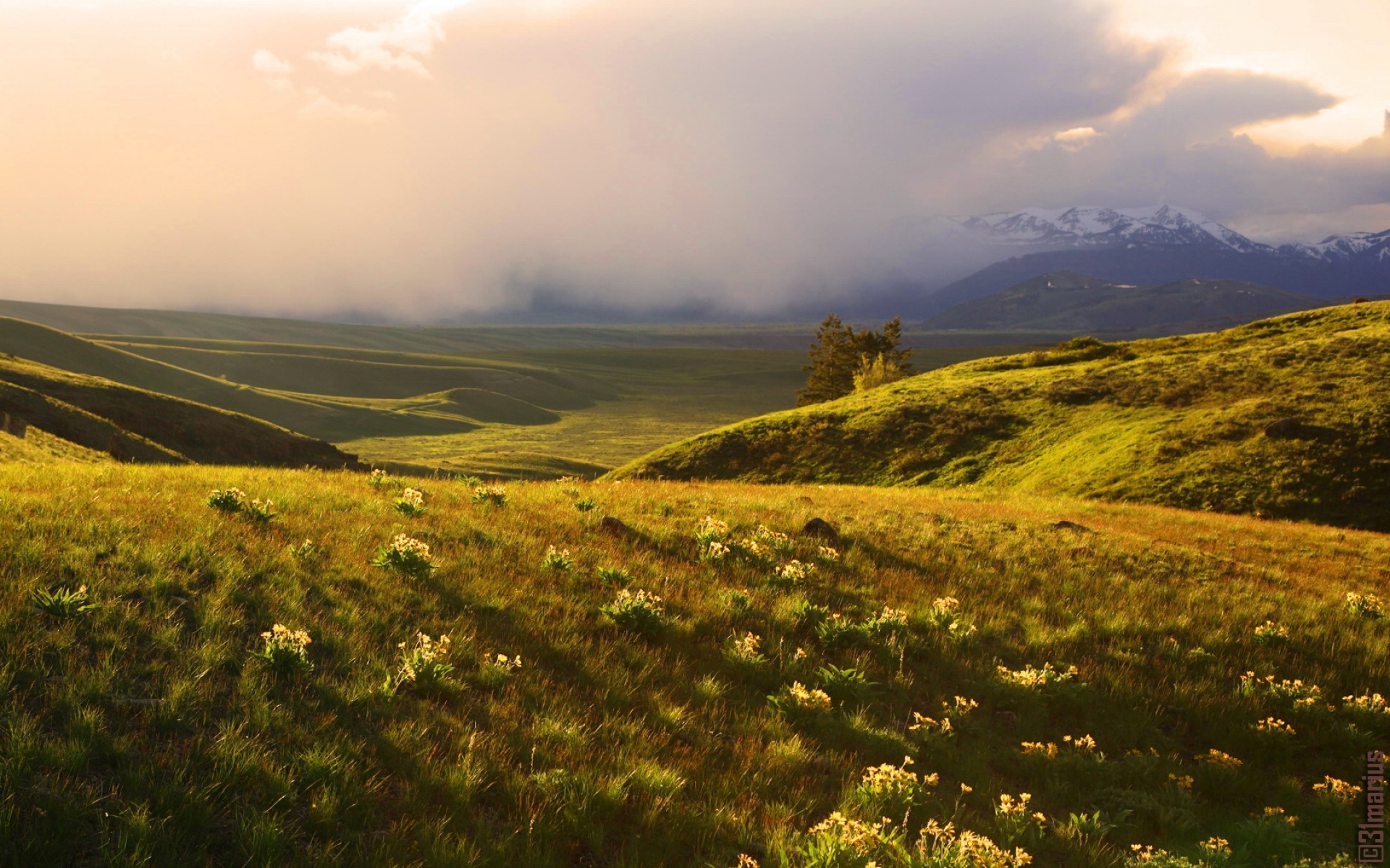 风景,自然风光,2012Y十一月04D,儿童桌面专用