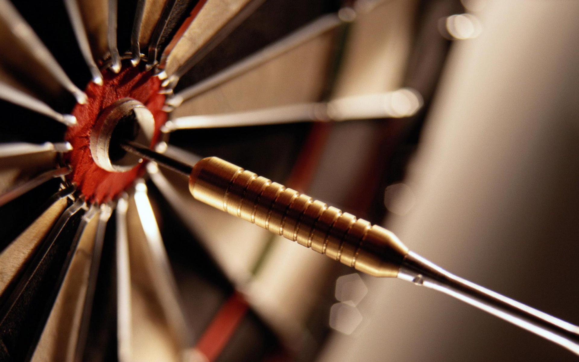 运动,2012Y十一月11D