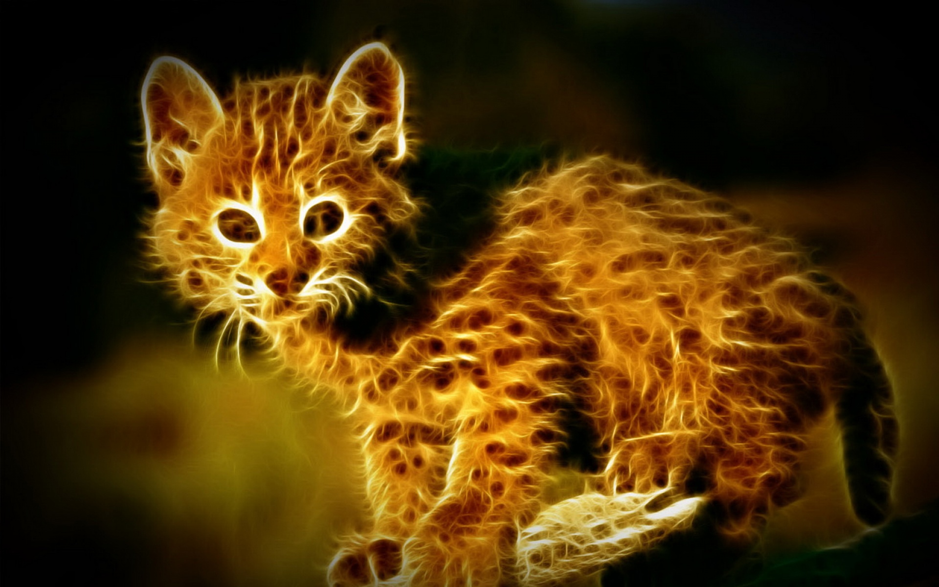 光线,描绘,猫科,动物,2012Y十一月04D,儿童桌面专用