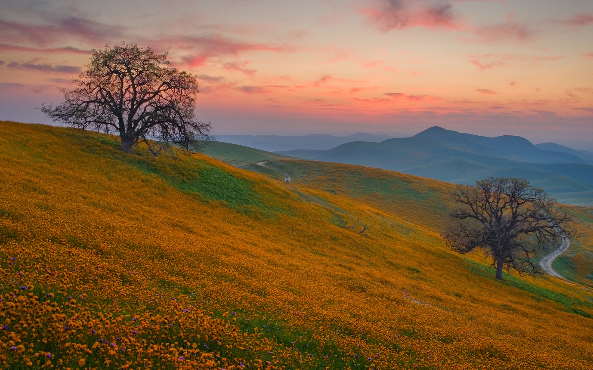 风景,落日余晖,2012Y十月30D,儿童桌面专用