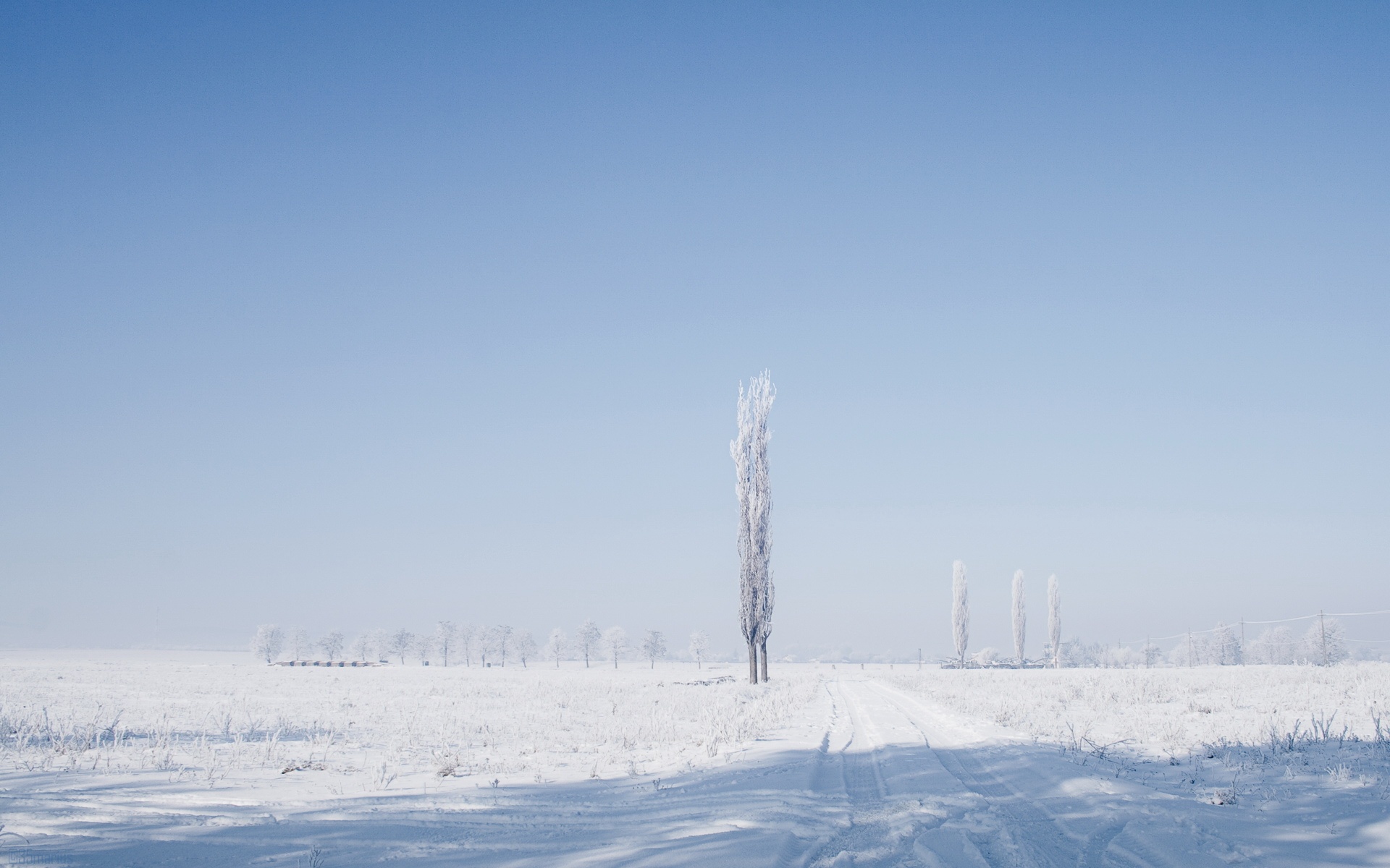 风景,冰天雪地,2012Y十月30D,儿童桌面专用