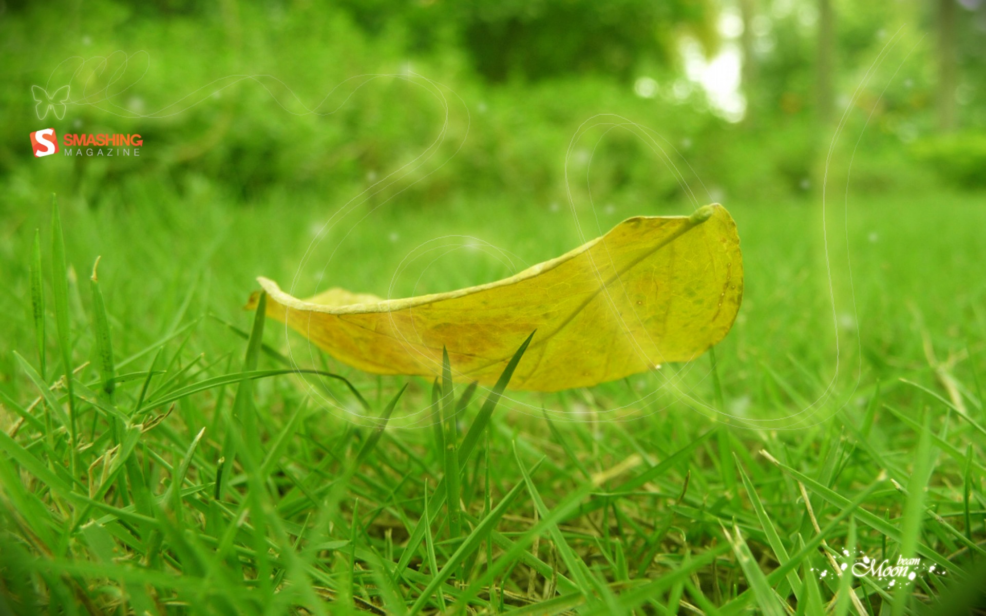 小清新,舒缓压力,宽屏,2012Y十月30D,儿童桌面专用