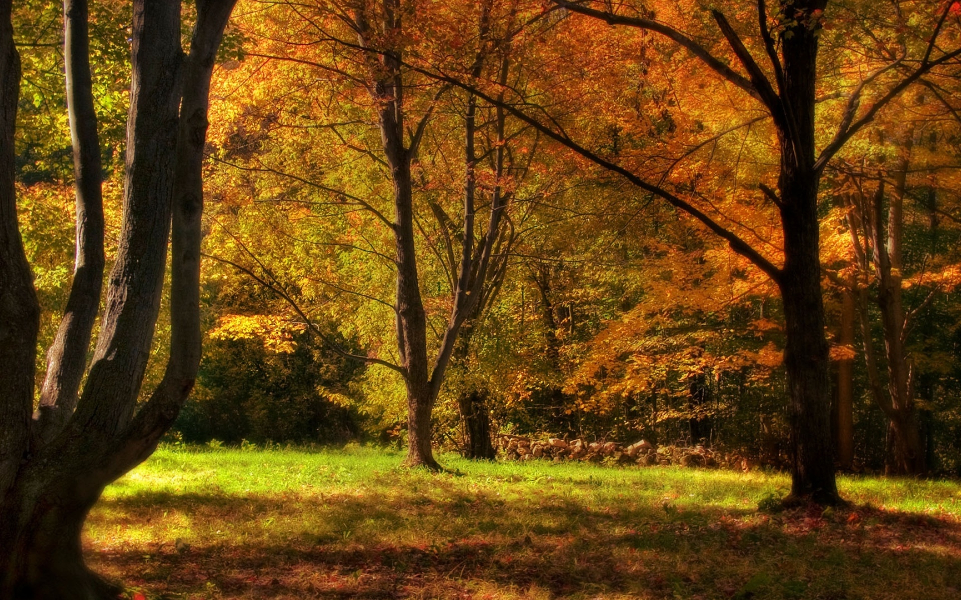 高清,摄影,风光,风景,宽屏,1080p,2012Y十月31D,儿童桌面专用