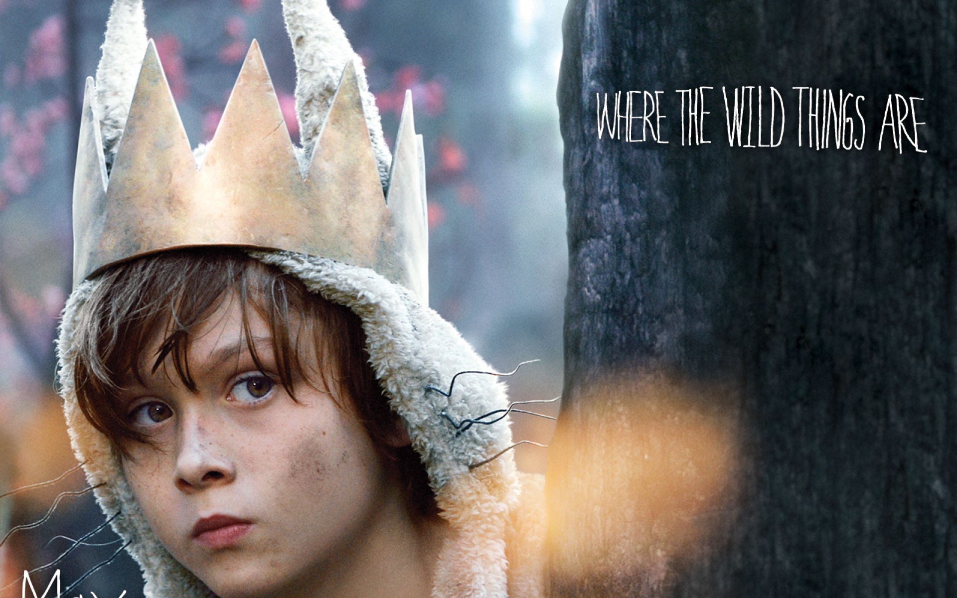 野兽家园,影视,卡通,2012Y十一月03D