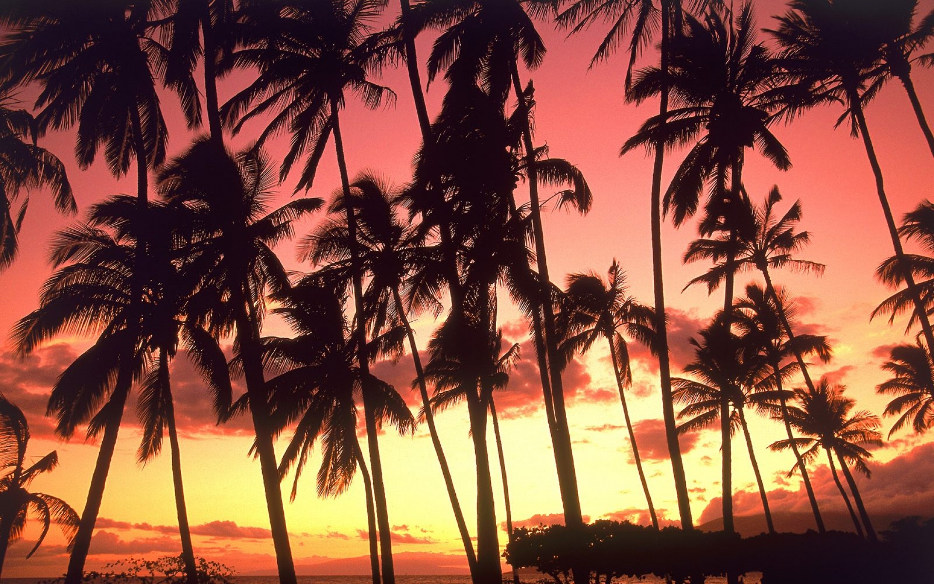 风景,落日余晖,2012Y十一月05D,儿童桌面专用