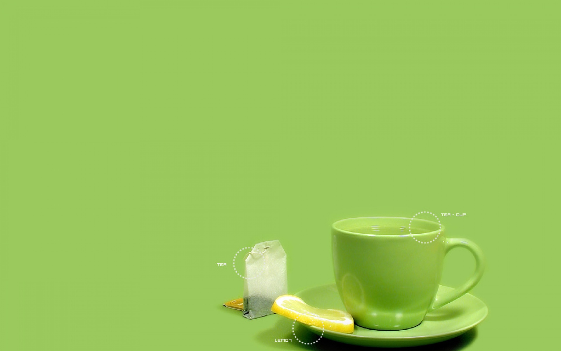 简约,绿色,儿童桌面专用