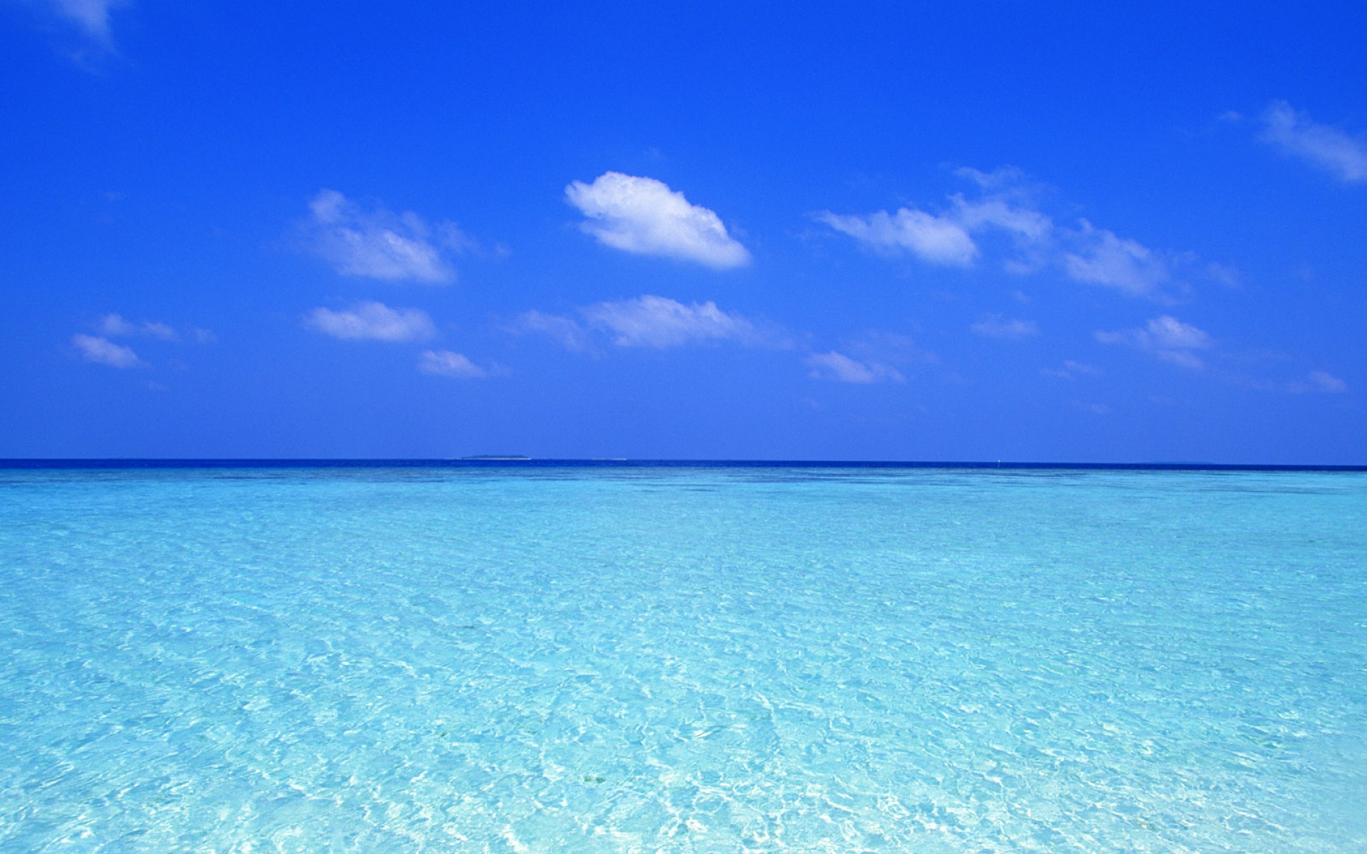 风景,海洋天堂,2012Y十一月10D,儿童桌面专用