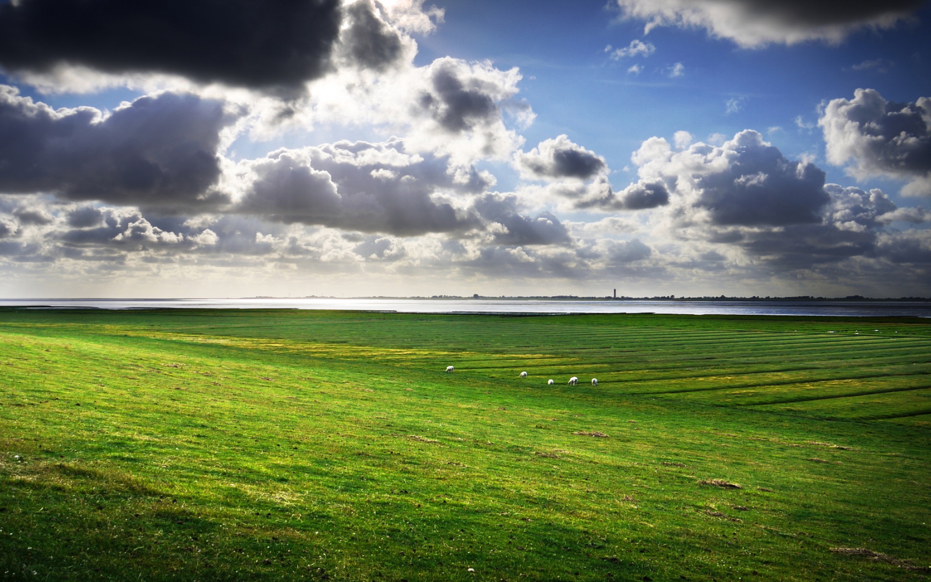 风景,碧绿草原,2012Y十月31D,儿童桌面专用