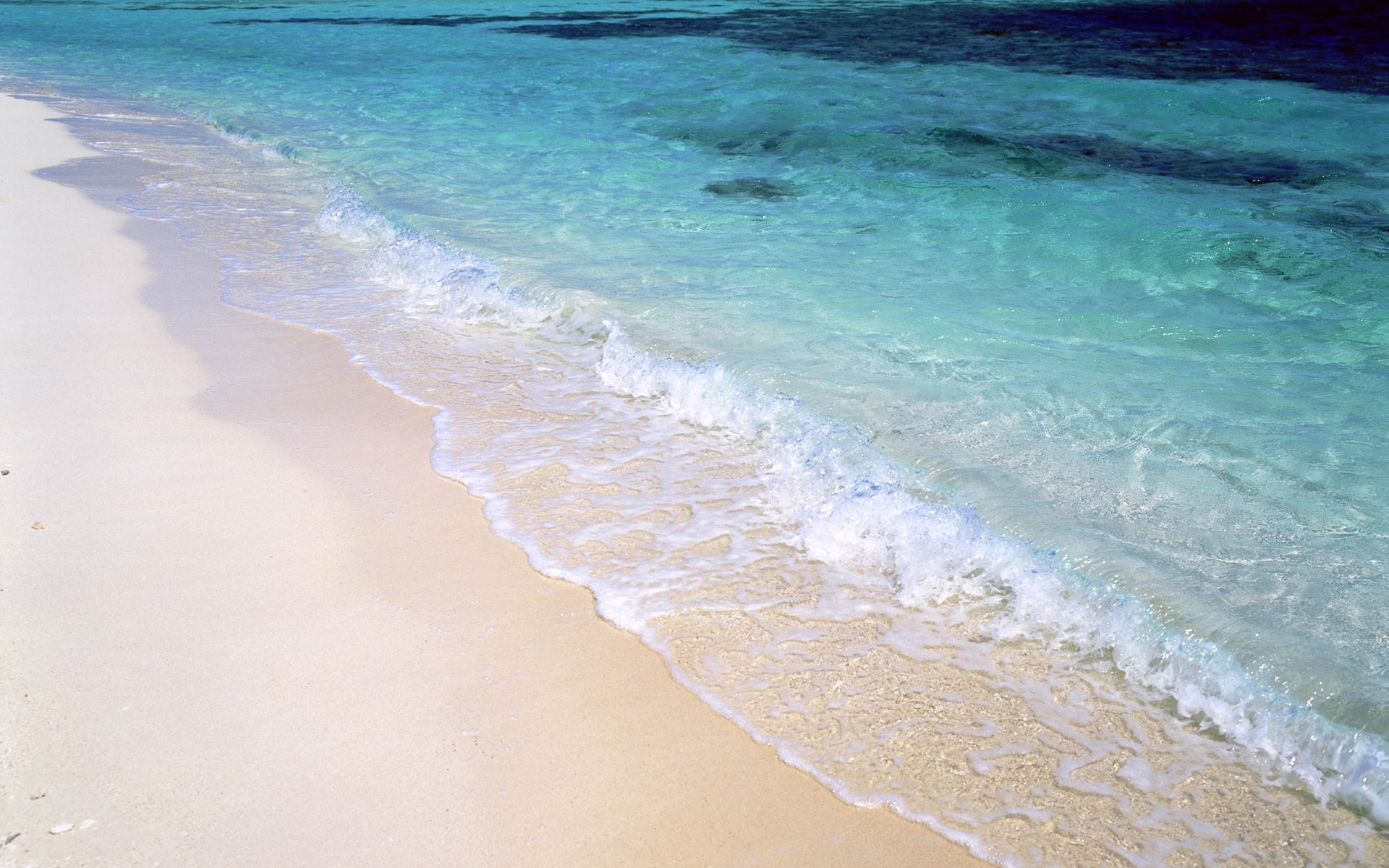 风景,海洋天堂,2012Y十一月11D,儿童桌面专用