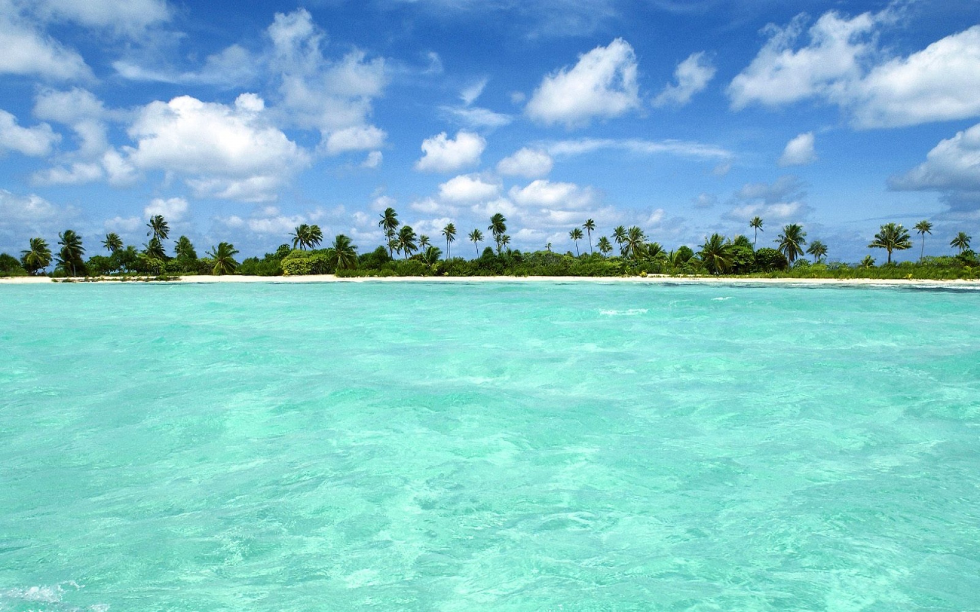 风景,海洋天堂,2012Y十一月04D,儿童桌面专用