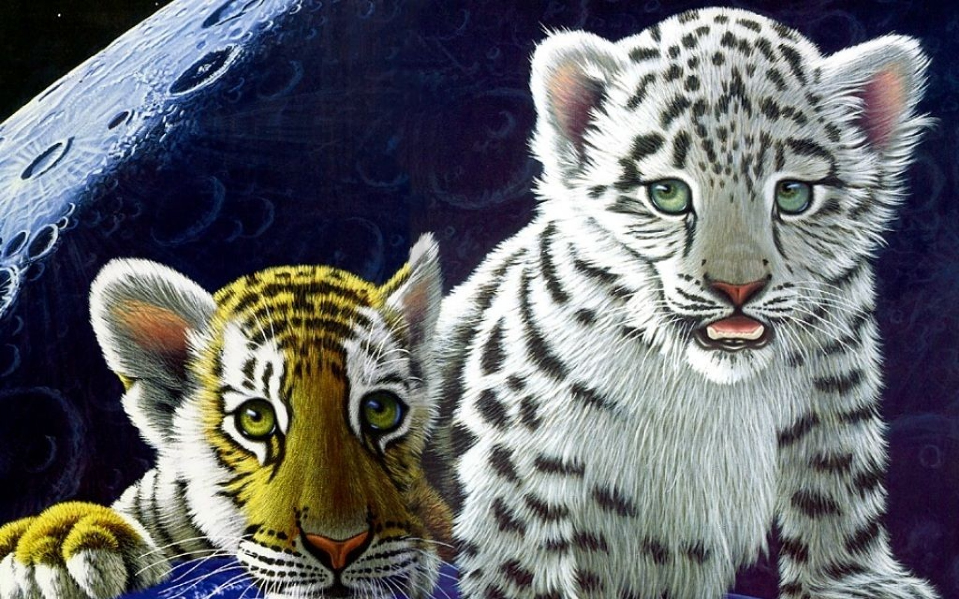 太空,动物,手绘,儿童桌面专用