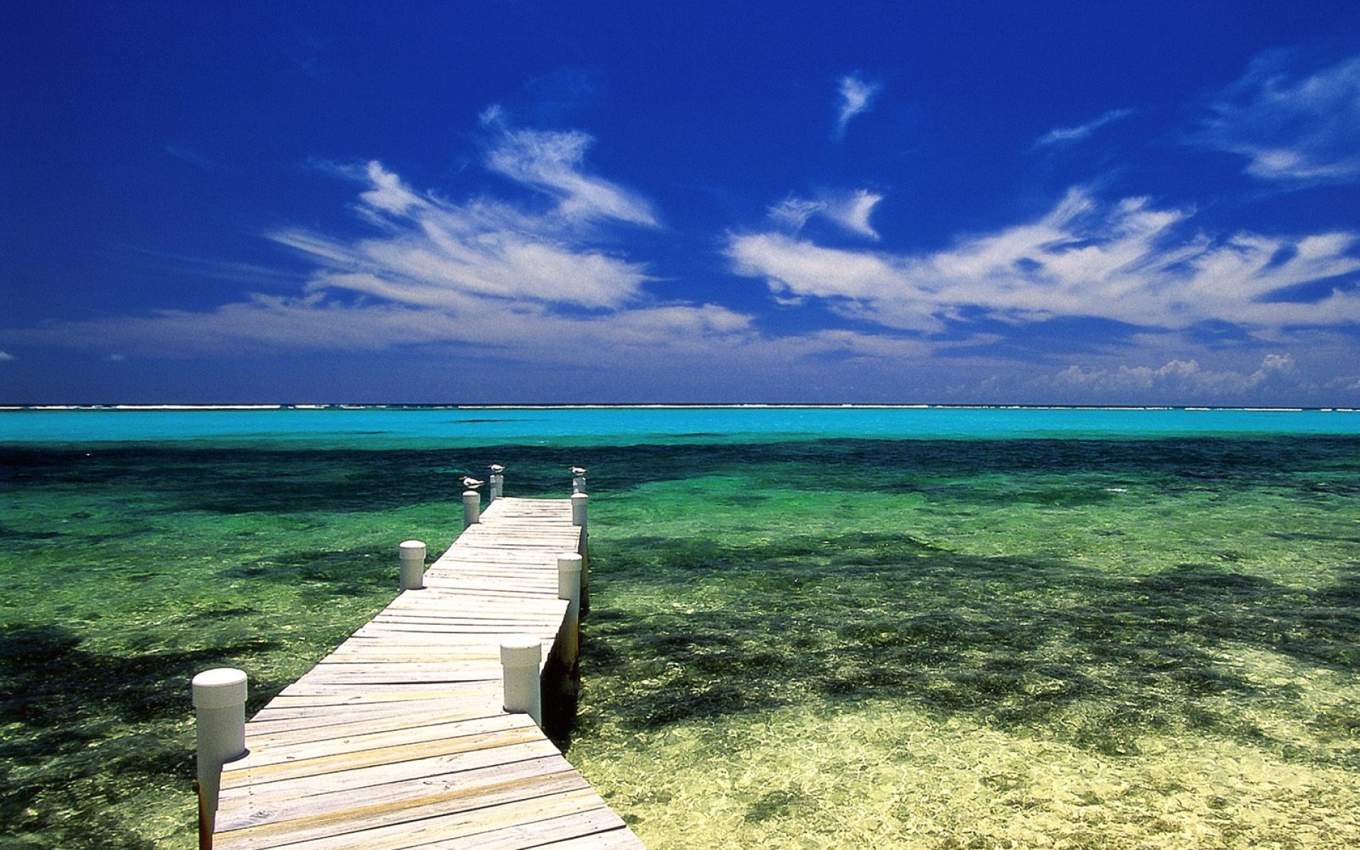 风景,海洋天堂,2012Y十一月04D,儿童桌面专用