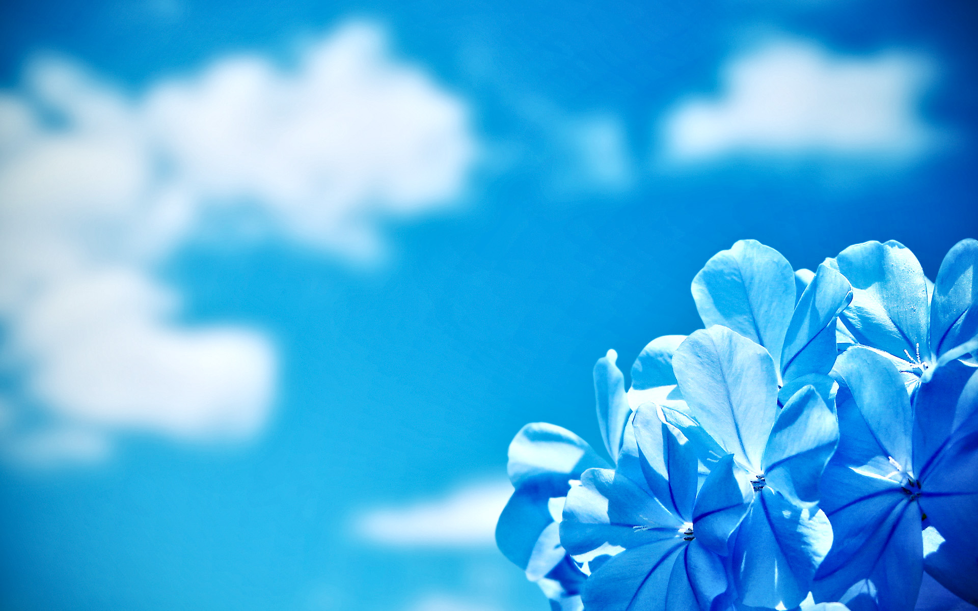 小清新,清爽,温馨,护眼壁纸,儿童桌面专用