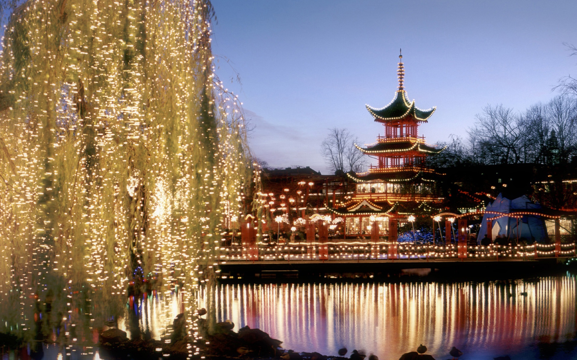 风景,城市夜景,2012Y十月30D,儿童桌面专用