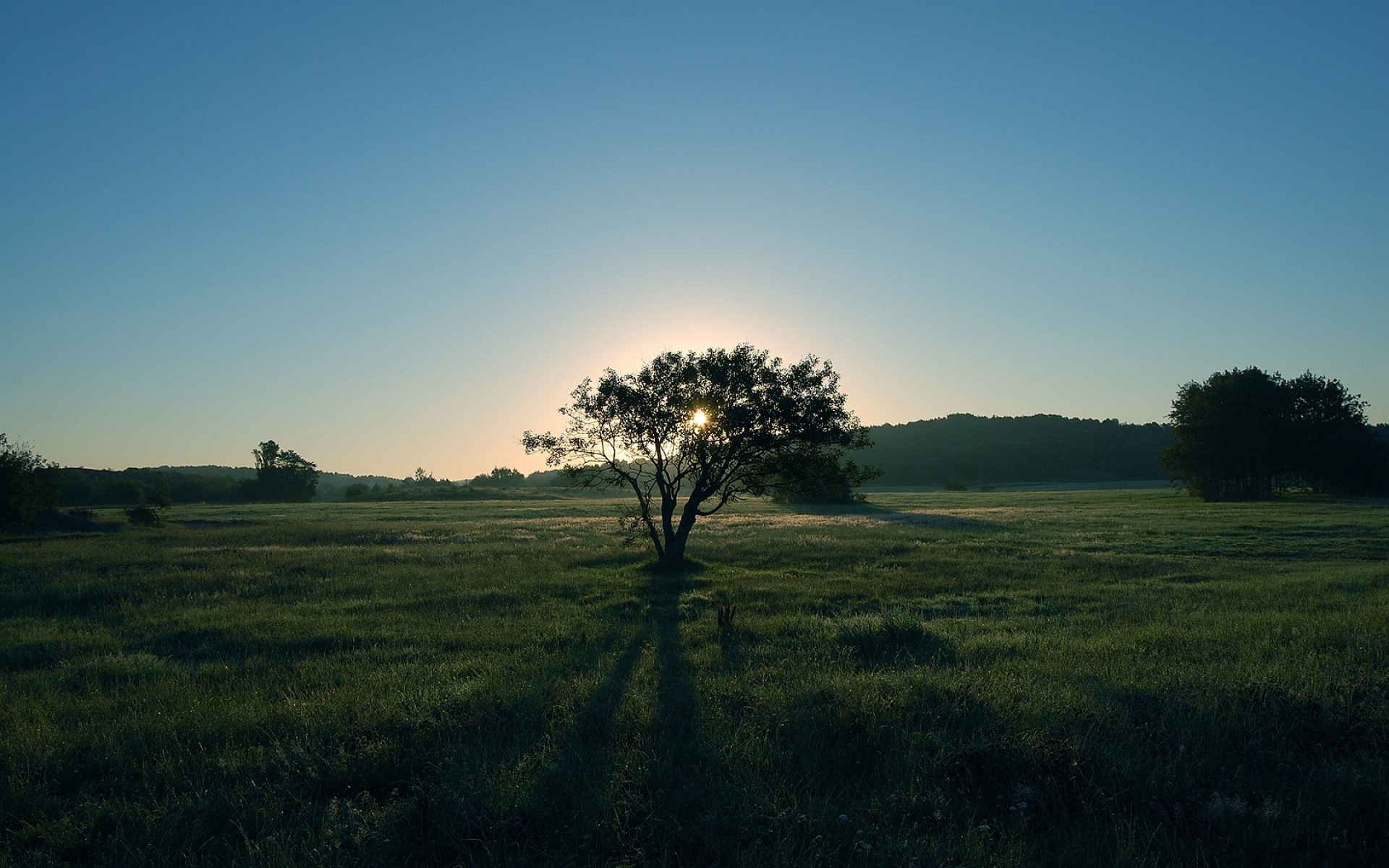 小清新,护眼壁纸,草原,绿色,儿童桌面专用