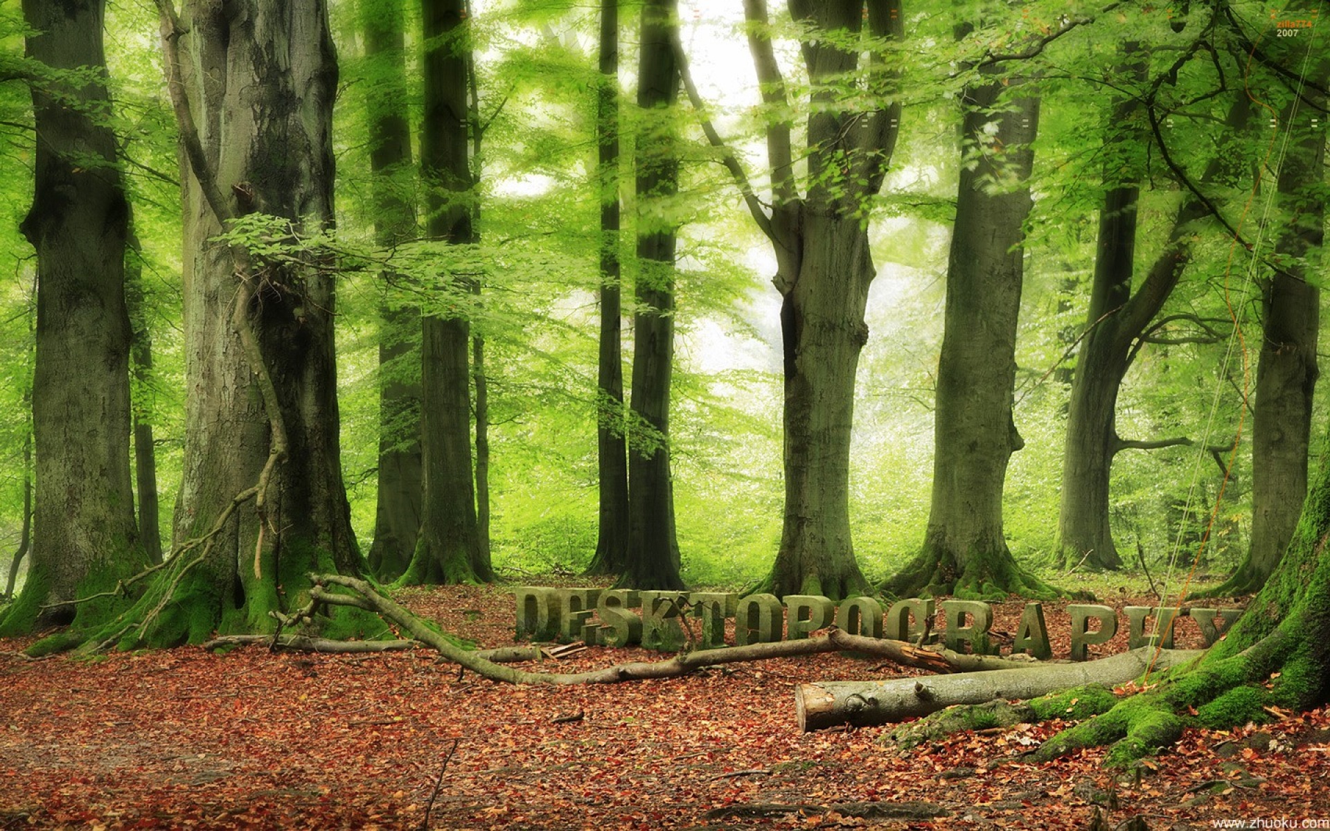 小清新,舒缓压力,绿色,儿童桌面专用