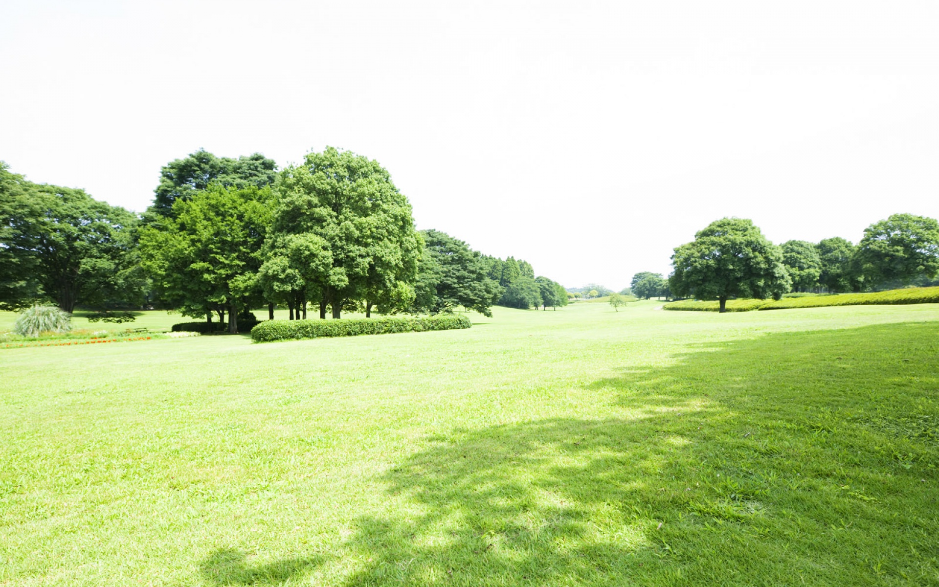 风景,碧绿草原,2012Y十一月11D,儿童桌面专用