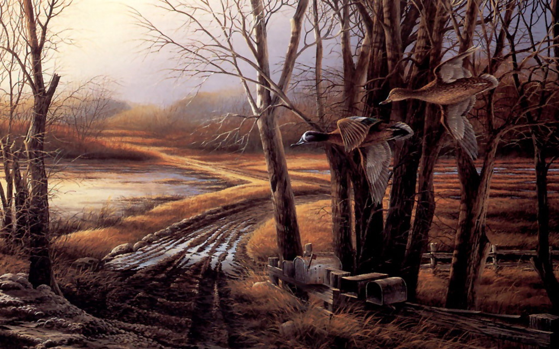 动物,绘画,风格,2012Y十一月10D,儿童桌面专用