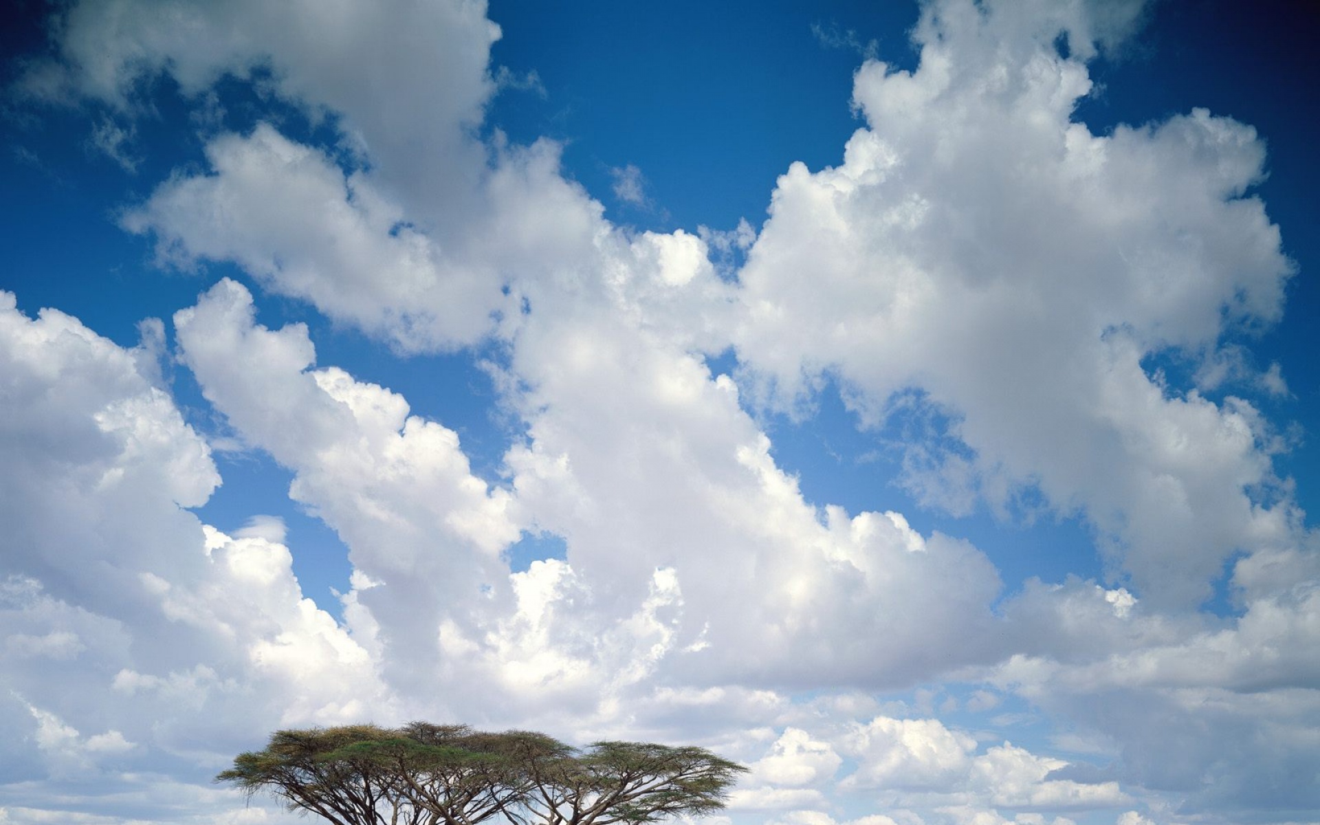 风景,蓝天白云,2012Y十一月11D,儿童桌面专用