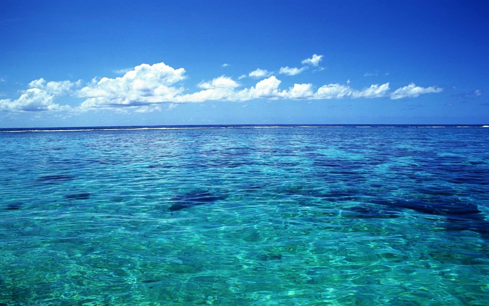 风景,海洋天堂,2012Y十月31D,儿童桌面专用