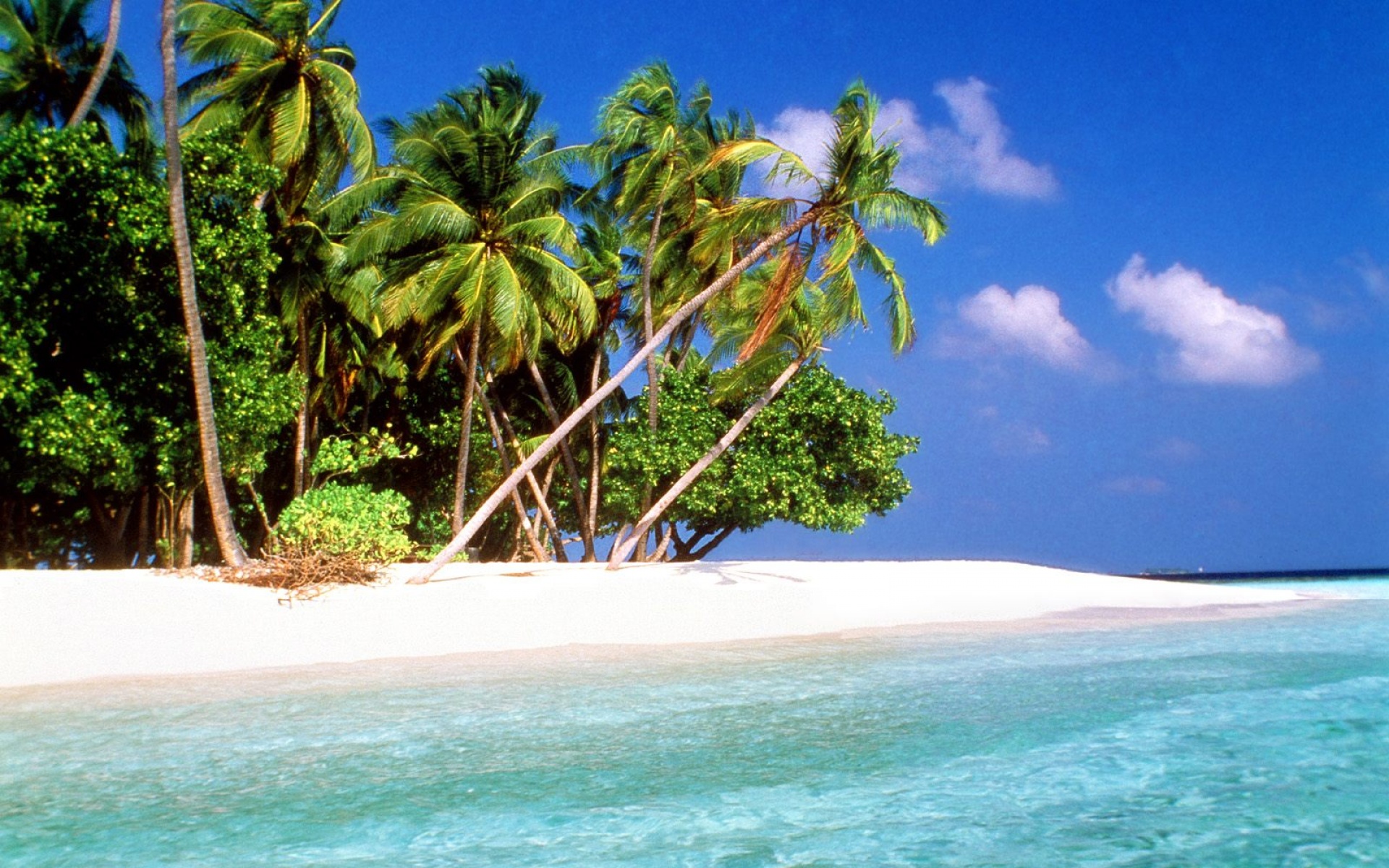 风景,海洋天堂,2012Y十一月04D,儿童桌面专用