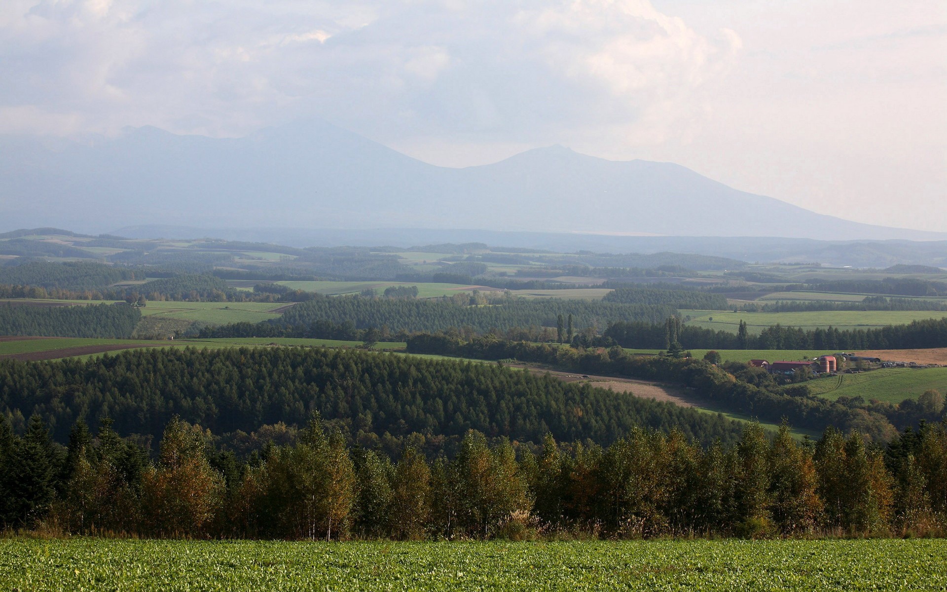 风景,碧绿草原,2012Y十一月04D,儿童桌面专用