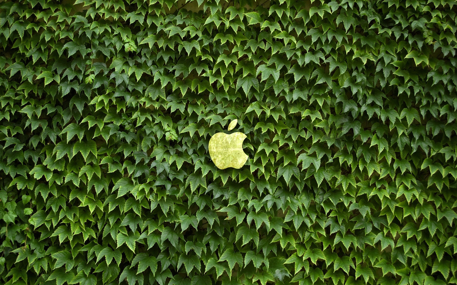 苹果,MAC,2012Y十一月04D,儿童桌面专用