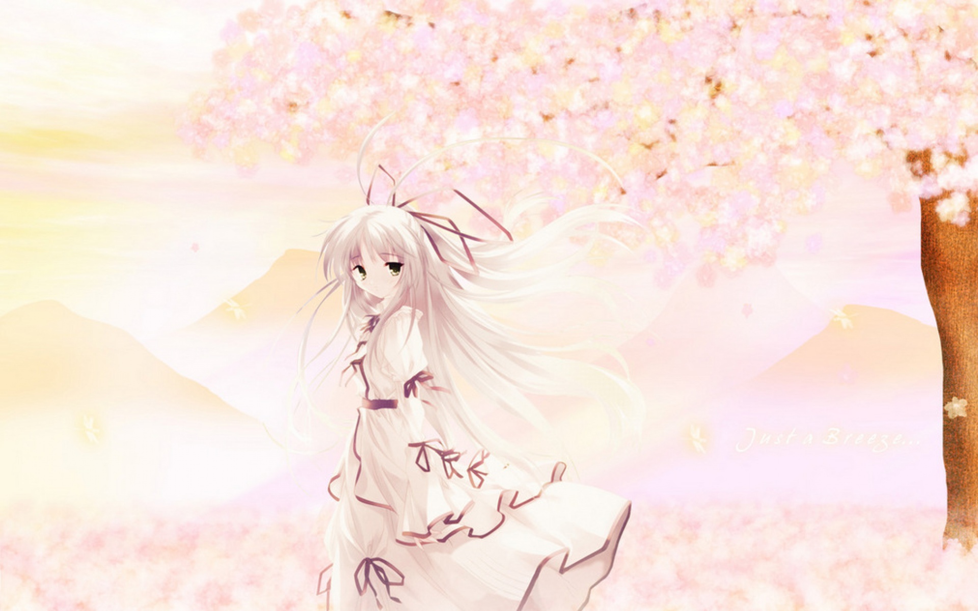 动漫,萝莉,2012Y十一月04D,儿童桌面专用