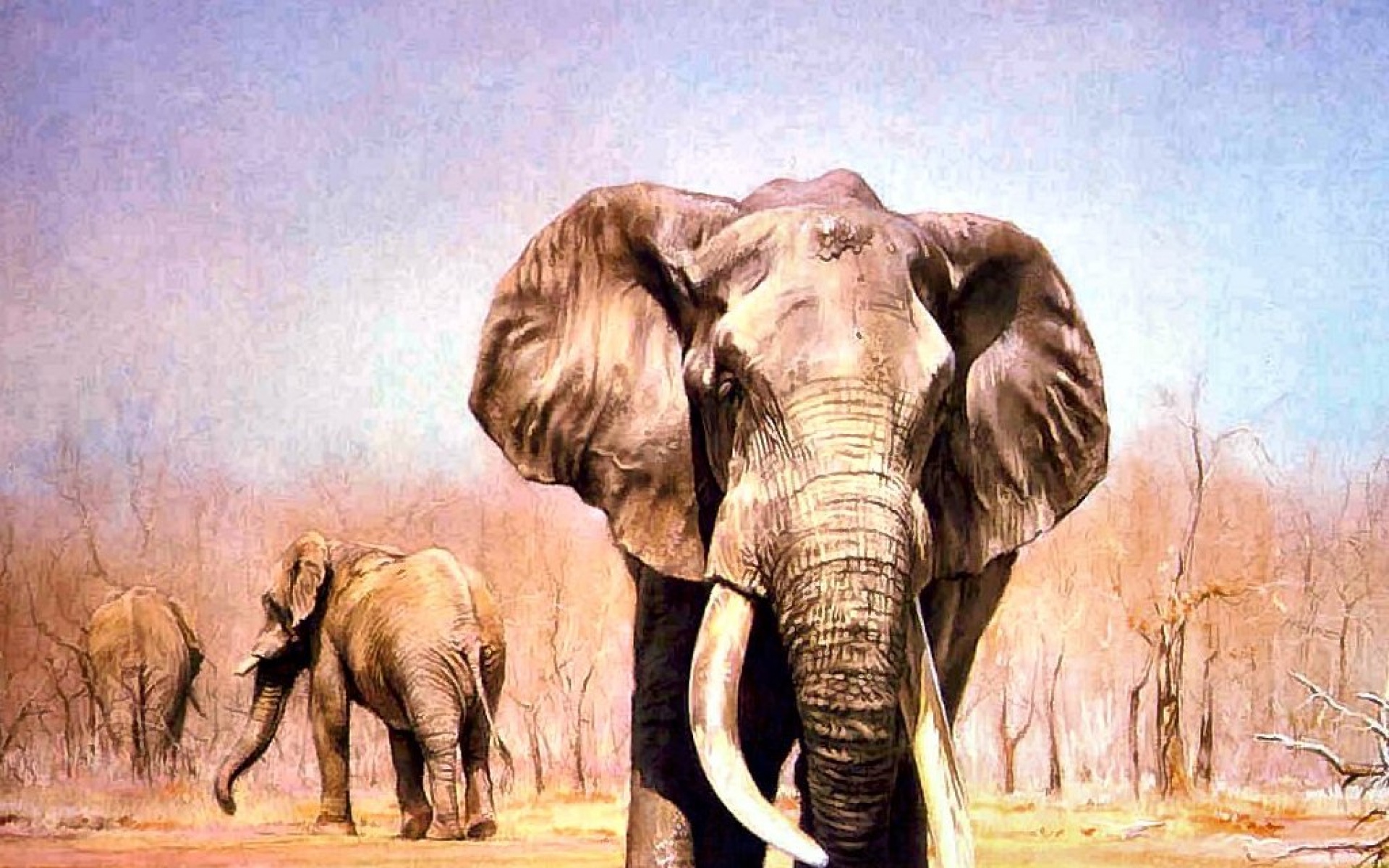 动物,绘画,风格,2012Y十一月08D,儿童桌面专用