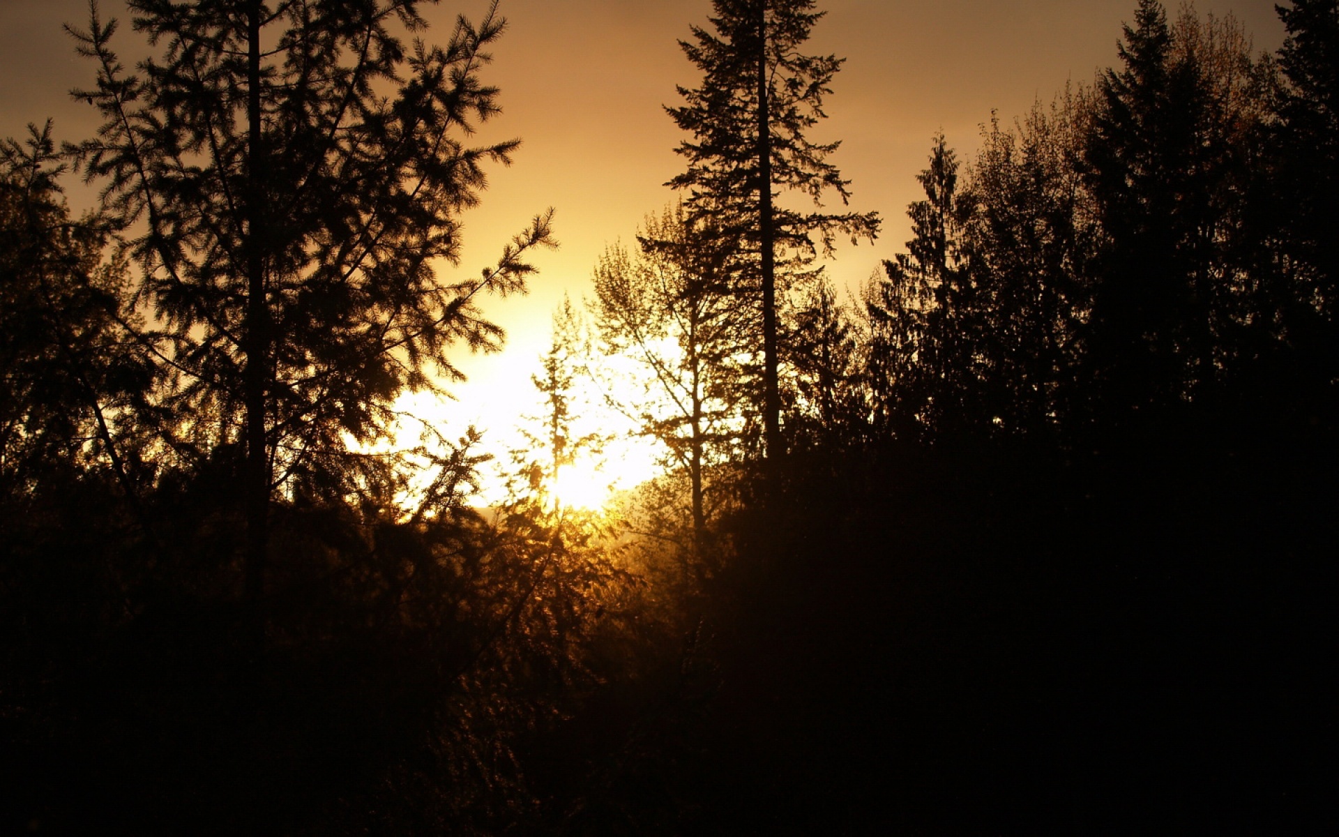 风景,落日余晖,2012Y十月31D,儿童桌面专用