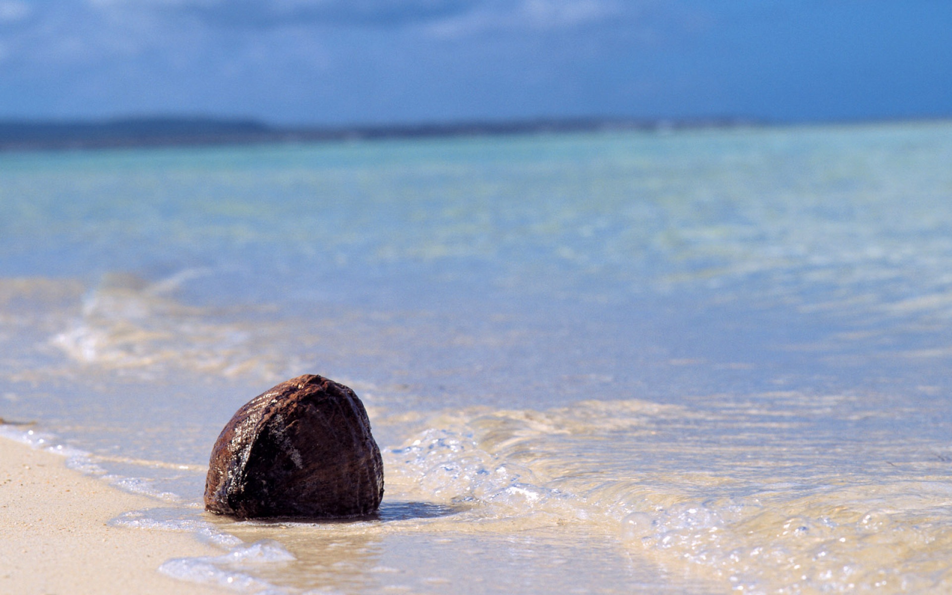 风景,海洋天堂,2012Y十一月11D,儿童桌面专用
