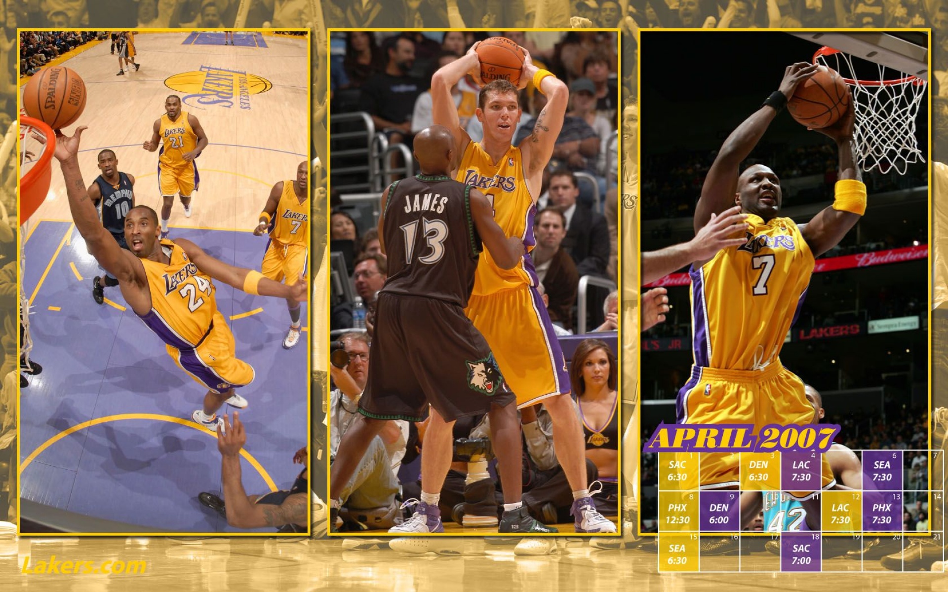 洛杉矶,湖人,体育,2012Y十一月10D