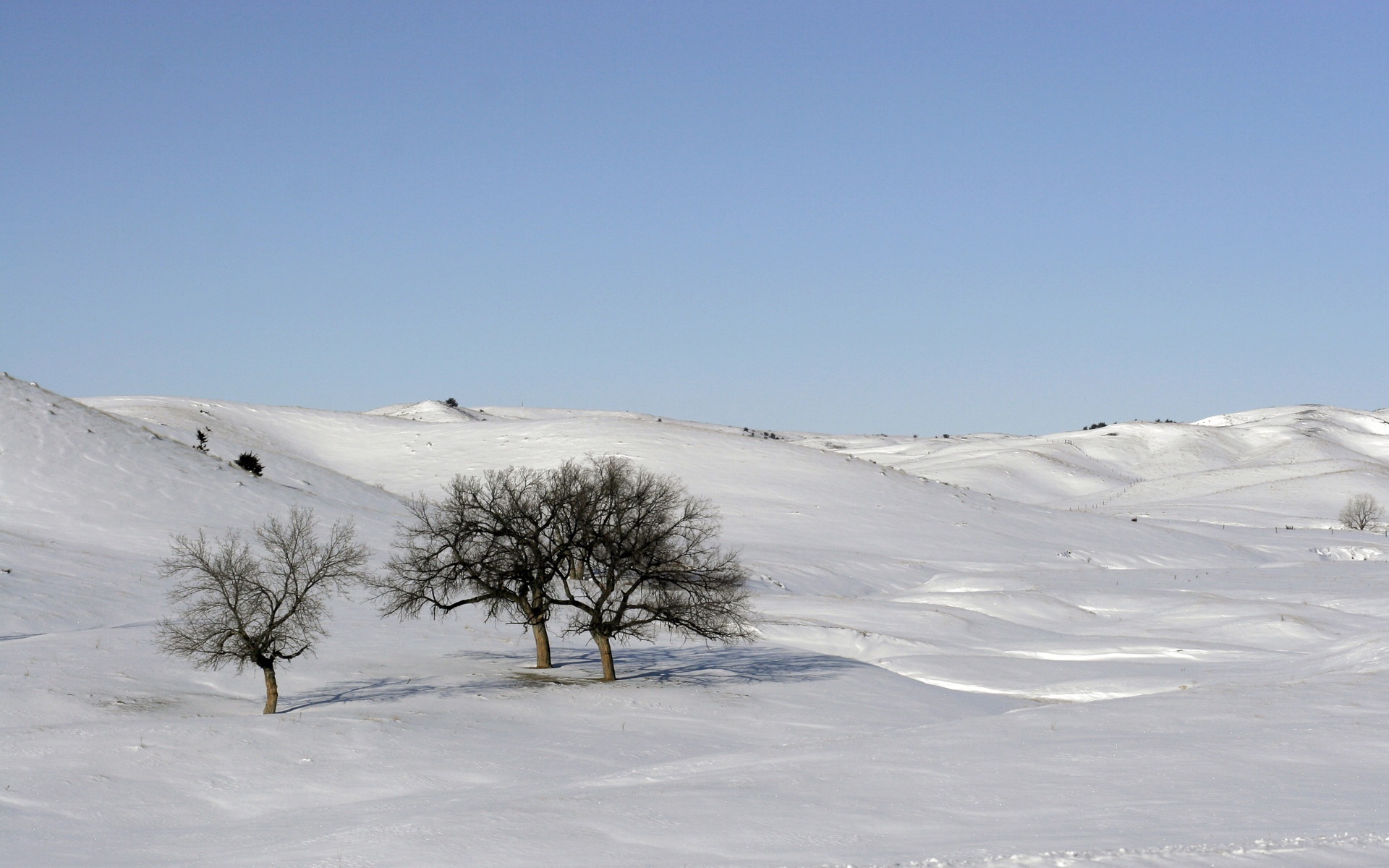 风景,冰天雪地,2012Y十月31D,儿童桌面专用