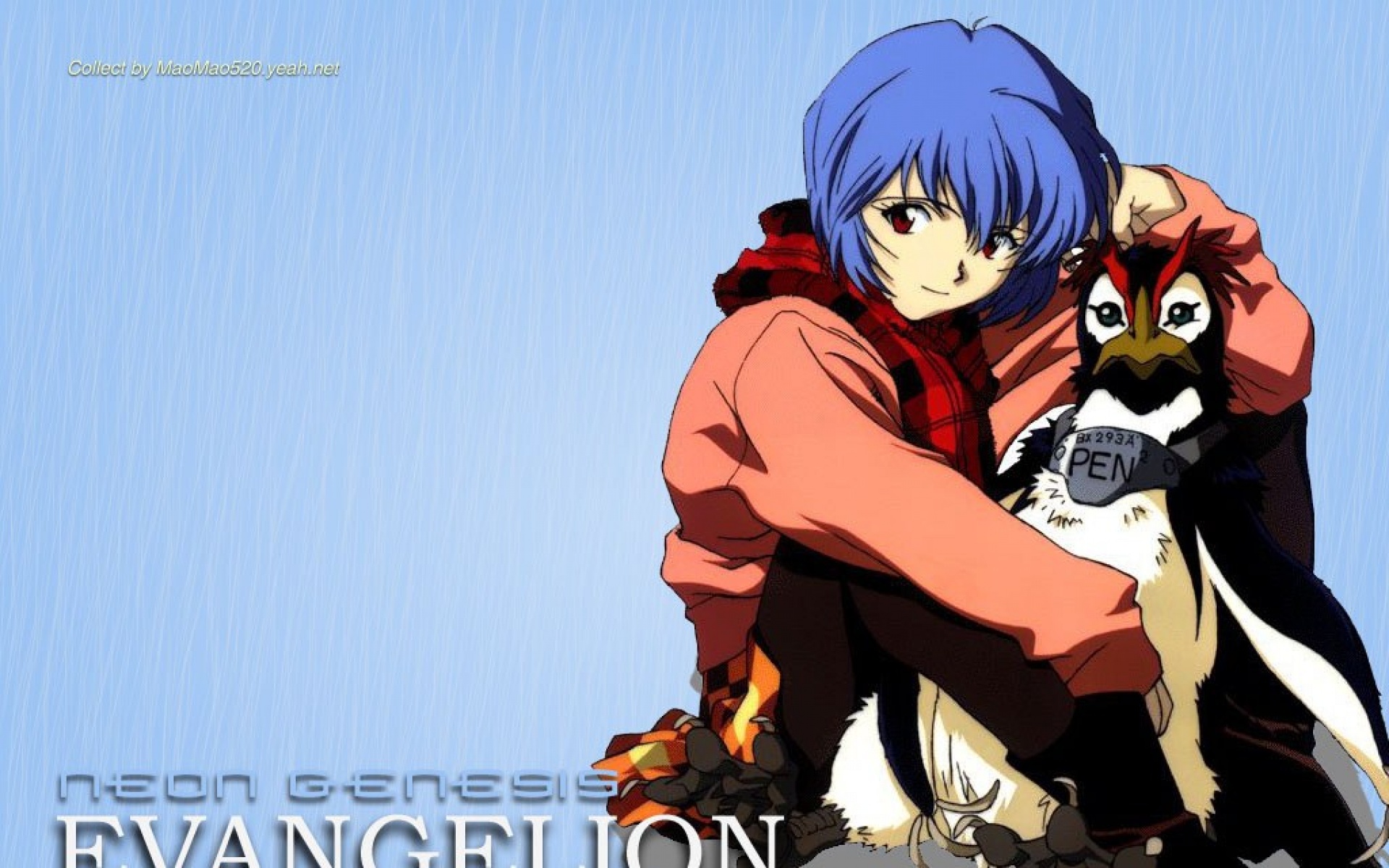 新世纪福音战士,凌波丽,动漫,卡通,2012Y十一月09D,儿童桌面专用