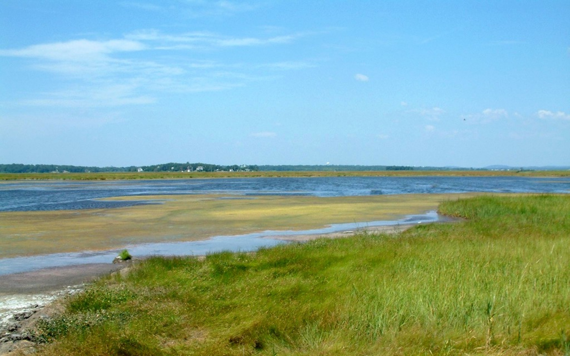 风景,碧绿草原,2012Y十一月10D,儿童桌面专用