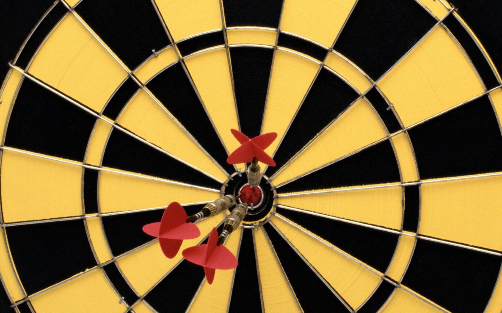 运动,2012Y十一月11D