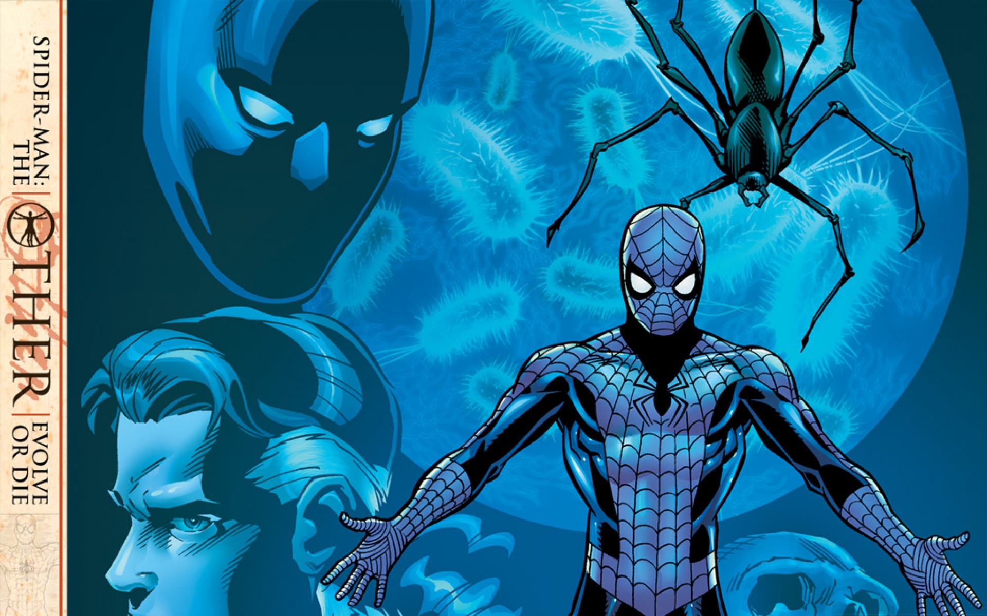 蜘蛛侠,游戏,2012Y十一月12D