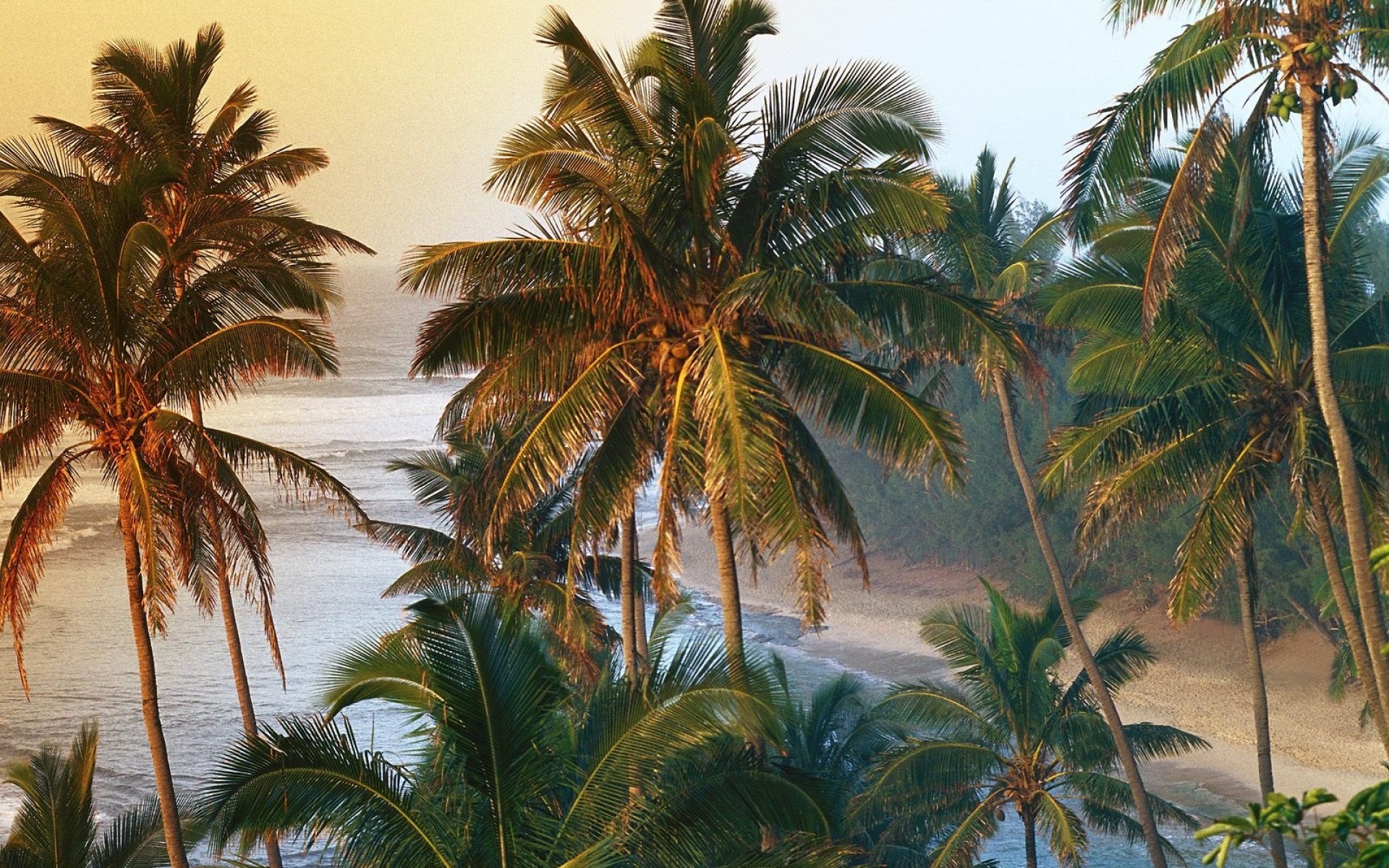 风景,海洋天堂,2012Y十一月04D,儿童桌面专用