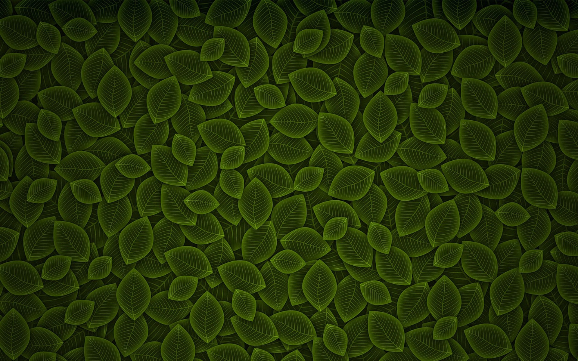 简约,绿色,儿童桌面专用